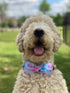 Elegant Little Tail Dog Collar with Bow, Soft & Comfy Bowtie Adjustable Pet Gift Collars for Small to Large Dogs
