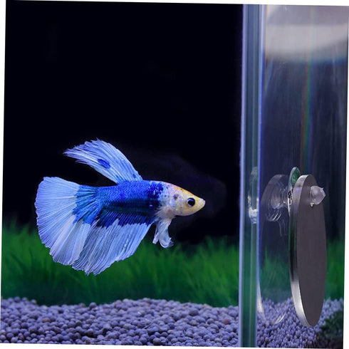 Betta Training Mirror Set, Decorative Fish Tank Toys, Plastic Round Sports Mirror for Betta Tank