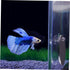 Betta Training Mirror Set, Decorative Fish Tank Toys, Plastic Round Sports Mirror for Betta Tank