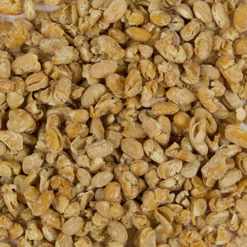 (16 oz, Harmony House Foods TRUE Dehydrated Great Northern Beans - Easy Cook Quart Size Jar)