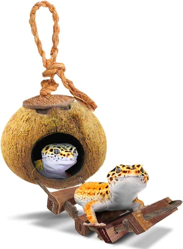 SunGrow Leopard Gecko Coconut Husk Hut - Cave Habitat with Ladder and Shell Opening, 1 Pc per Pack