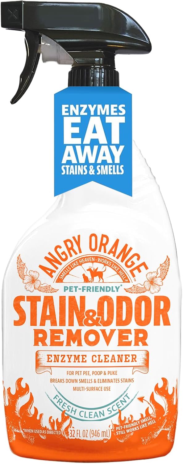ANGRY ORANGE Cat Urine Odor Eliminator & Stain Remover, Pet Stain Enzyme