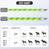 Joytale 6/5/4 FT Heavy Duty Nylon Braided Dog Leash for Small Medium Breeds, Padded Handle, Green, 6'×3/8''