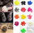 100pcs Cat Nail Caps Kitten Caps with 5pcs Adhesive Glue + 5pcs Applicators + Instruction