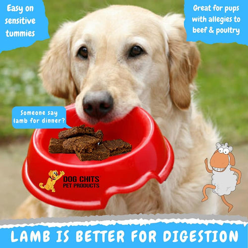 Dog Chits Lamb and Flaxseed Soft Chew for Dogs, All Natural Treats, Made in USA, Rich in Omega 3 and 6, 4 oz.