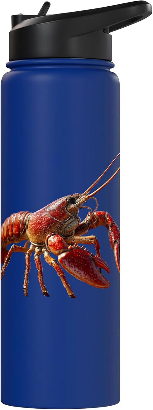Funny Lobsters for Crab and Lobster Lover Lobster Crustaceans Large Crab Red Lobsters Cute Lobster Stainless Steel