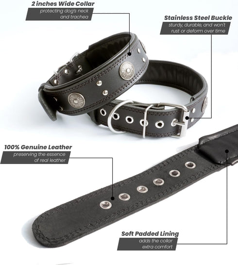 Leather Dog Collar, 2 inches Wide Heavy Duty Genuine Leather, Handmade, Soft, Luxury for Large and Medium Breed Dogs