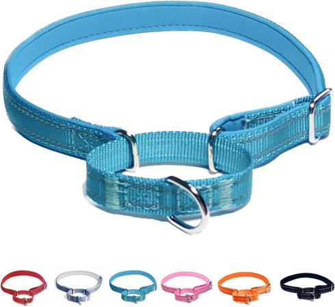 Martingale Dog Collars, Adjustable Soft Nylon Training Collar, Reflective Safety Heavy Duty No Pull Pet Collars for