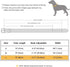 Didog Waterproof Dog Collar with Soft Padding, Lightweight and Breathable for Medium Dogs, Black, Large