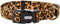 Fashion Leopard Dog Collar, Premium Fabric Soft and Comfortable for Puppy, Medium, and Big Dogs (Neck: 16-25")
