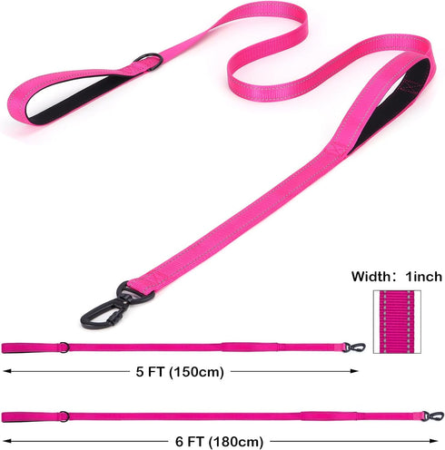 Reflective Nylon Dog Leash - The Heavy Duty Hero Leash with Two Handles for Night Safety Training - for Small Medium Large Breed Pet Dogs (Light Blue, 6FT×1'')