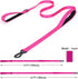Reflective Nylon Dog Leash - The Heavy Duty Hero Leash with Two Handles for Night Safety Training - for Small Medium Large Breed Pet Dogs (Light Blue, 6FT×1'')