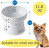 Necoichi Raised Dog Water Bowl - Elevated Non-slip Feeder for Dogs & Cats, Dishwasher Safe