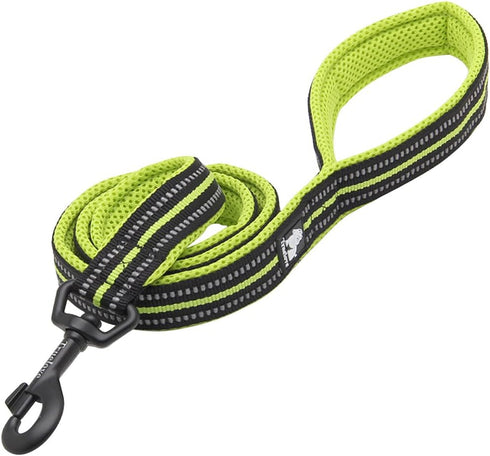 Creation Core Reflective Dog Leash Green, Durable Padded Strap for Puppy, 6.5Ft Long, 0.8" Wide