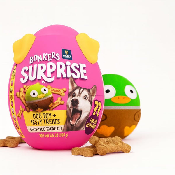 Bonkers Surprise Chicken Flavored Biscuit Crunchy Dog Treats with Toy Surprise, 100g