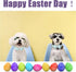 Adjustable Dog Collar Easter Gift with Bow Tie - Egg Design for Small, Medium, and Large Boys & Girls, Neck 10"-16"