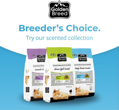8.8 lb Golden Breed - Baby Powder Scented, Natural, Lightweight, Diatomaceous Earth, Non-Clumping, Superior Odor