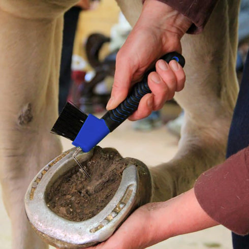 Horse Hoof Pick Brush with Soft Touch Handle, Royal Blue