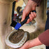 Horse Hoof Pick Brush with Soft Touch Handle, Royal Blue