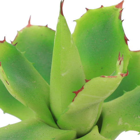 Cabilock Artificial Plants for Reptile Terrarium Dcor, Spider Box with Faux Flame Rose Plant, Lifelike Reptile Habitat