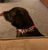 Holiday Christmas Dog Collar with Detachable Bow Tie, Adjustable for Small Dogs & Puppies, Neck 10"-15”