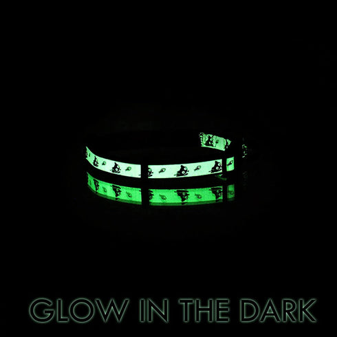 Pawtitas Glow In The Dark Cat Collar, Purple Lucky, with Safety Buckle and Bell