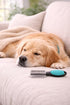 Generic 4-piece Dog Grooming Kit