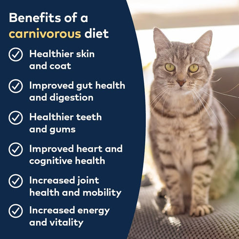 ZIWI Peak Canned Wet Cat Food, All Natural, High Protein, Grain Free, Limited Ingredient, Superfoods (Mackerel, Case of