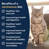 ZIWI Peak Canned Wet Cat Food, All Natural, High Protein, Grain Free, Limited Ingredient, Superfoods (Mackerel, Case of