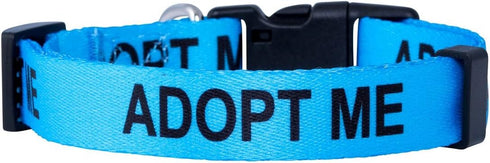 Native Pup Adopt Me Dog Collar - Large, Blue