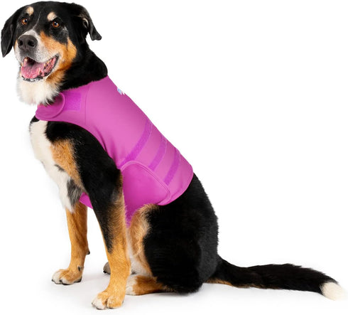Dog Anxiety Calming Wrap - X-Large, Radiant Orchid