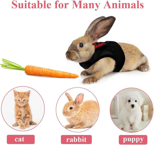 ASOCEA Adjustable Bunny Harness and Leash - Breathable Mesh Vest for Small Animals - Black M
