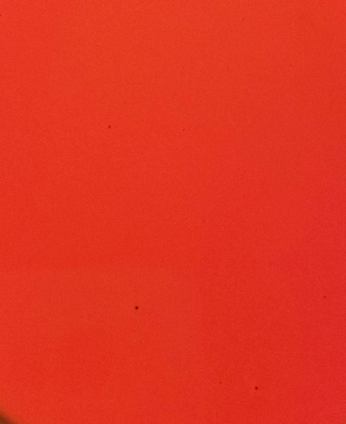 US Marine Products LLC Fluorescent Lobster Buoy Paint Fire Orange Quart