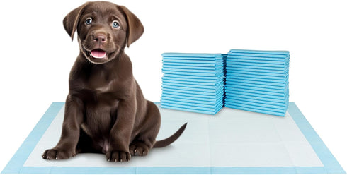 20 Count 36" 30" 6-Layer BV XXL Puppy Pads x - Leak-Proof Pee Pads for Dogs with Design, Rapid Dry Sheet & Attractant