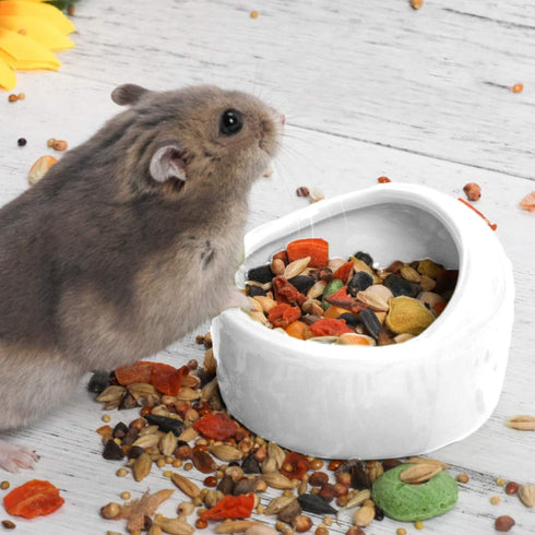 Mipcase Hamster Ceramic Bowl- Small Animal Food Bowl, No Spill Food Water Dish for Hedgehog Gerbil Chinchilla Rat Ferret ( White )