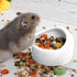 Mipcase Hamster Ceramic Bowl- Small Animal Food Bowl, No Spill Food Water Dish for Hedgehog Gerbil Chinchilla Rat Ferret ( White )