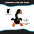 SPOT 14 Chirpies Plush Dog Toy Bird Sound Squeaky Toy for Small and Medium Dogs, Light to Moderate Chewers, Stretchy