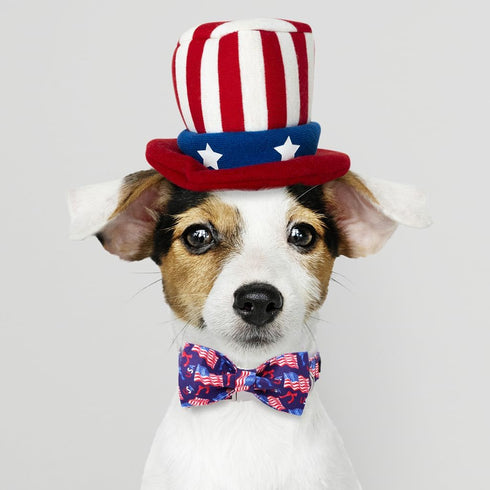 Maca Bates 4th of July Dog Collar with Bow Tie, Adjustable Breakaway Patriotic Cute Accessories for Small Medium Large