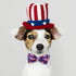 Maca Bates American Flag 4th of July Dog Collar with Bowtie for Small, Medium, Large Dogs, Patriotic Gift
