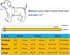 Spiked Studded Padded Leather Pet Collars for Cats and Dogs, Adjustable for Small Medium Large Dogs, 14.5"-18.5" Neck,