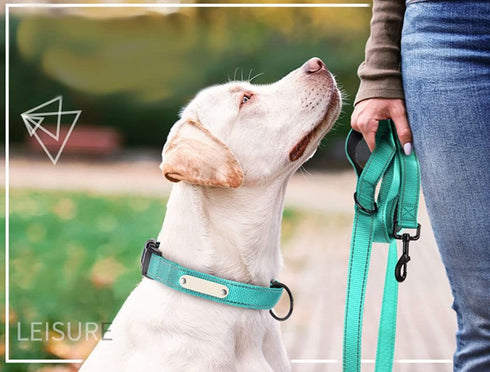 Reflective Nylon Dog Leash Heavy Duty, Two Handles with Padded for Extra Control, 6ft Long 1-inch Width (Orange)