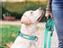 Reflective Nylon Dog Leash Heavy Duty, Two Handles with Padded for Extra Control, 6ft Long 1-inch Width (Orange)