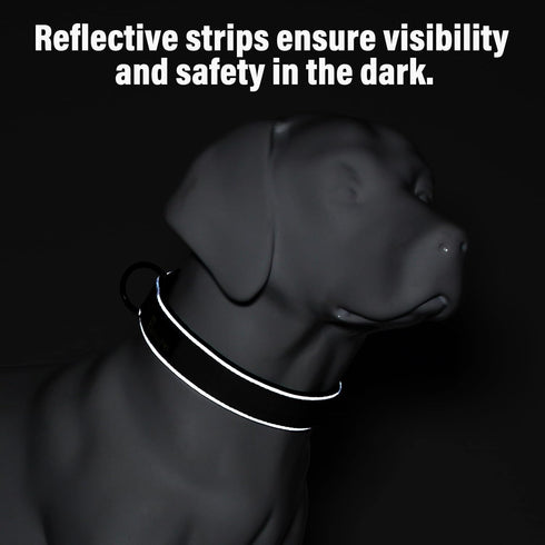 Plutus Pet Tactical Dog Collar, Reflective Adjustable Heavy Duty Collar, Soft Padded for Small Medium Large Dogs