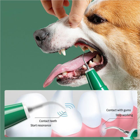 WIKICRYSTAL 5 Pet Ultrasonic Dental Cleaner for Dogs & Cats Electric Tooth Cleaner with Modes, LED Light, Multiple Tips
