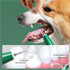 WIKICRYSTAL 5 Pet Ultrasonic Dental Cleaner for Dogs & Cats Electric Tooth Cleaner with Modes, LED Light, Multiple Tips
