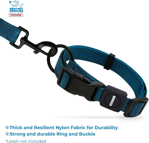 Best Pet Supplies Reflective Dog Collar - Adjustable Length, Heavy-Duty Buckle, Strong D-Ring for Small, Medium, Large