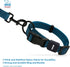 Best Pet Supplies Reflective Dog Collar - Adjustable Length, Heavy-Duty Buckle, Strong D-Ring for Small, Medium, Large