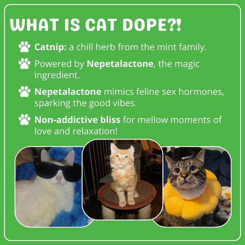 Catnip Blend, 100% Natural Catnip Treats for Play, Training & Toys - Safe & Non-Addictive for Cats