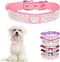 Rhinestone Dog Collar, Bling Diamond Crystal Sparkly Collar for XXS to Medium Girls Dogs and Female Kittens