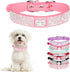 Rhinestone Dog Collar, Bling Diamond Crystal Sparkly Collar for XXS to Medium Girls Dogs and Female Kittens